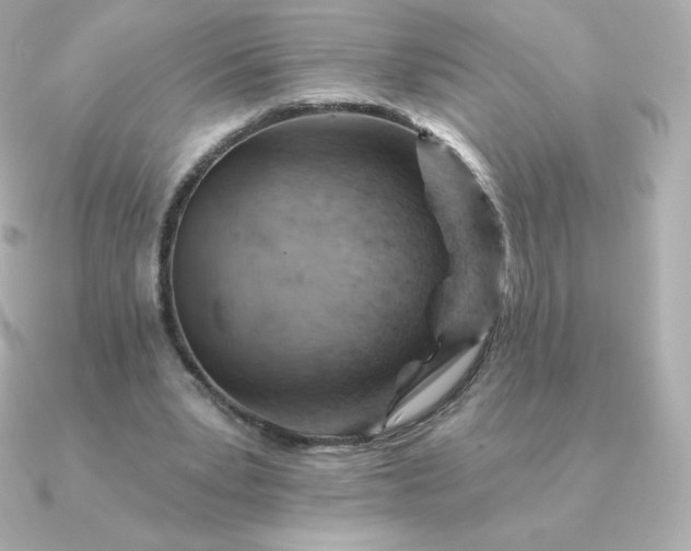 X0000090890391200708101406