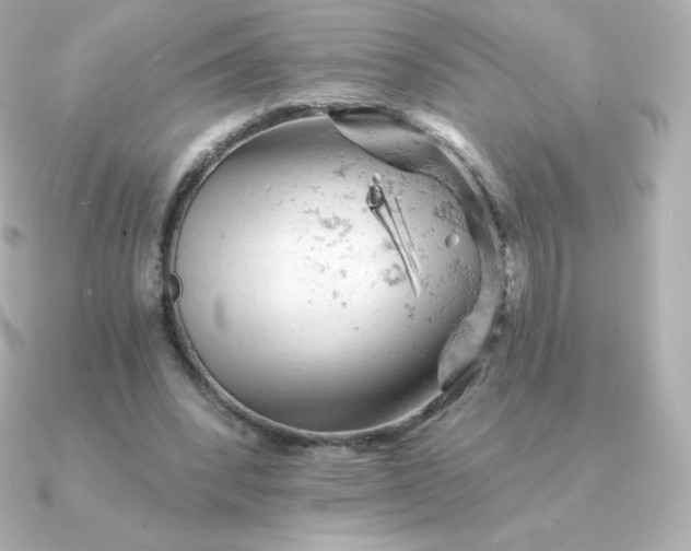 X0000090890392200708101406