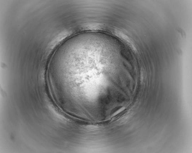 X0000090890394200708101406