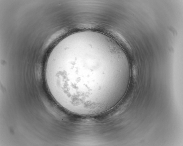 X0000090890396200708101406