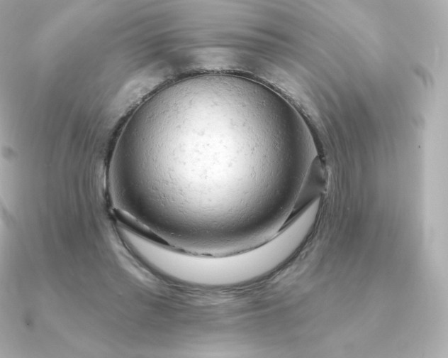 X0000090890397200708101406