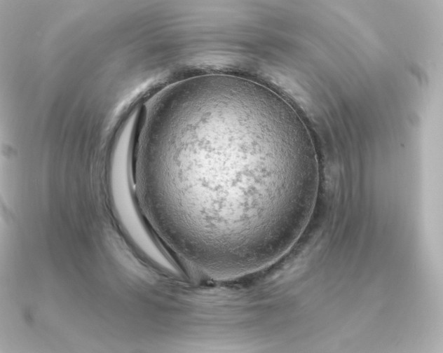 X0000090890399200708101406