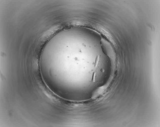 X0000090890401200708101406