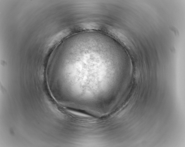 X0000090890402200708101406