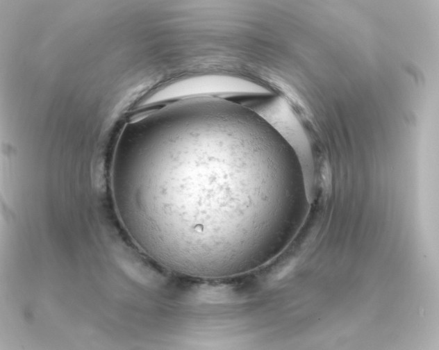 X0000090890403200708101406