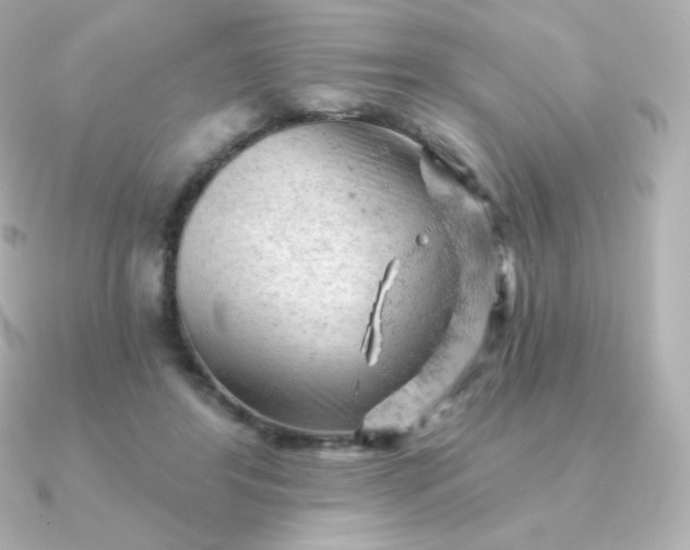 X0000090890404200708101406