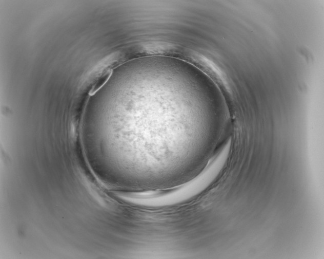 X0000090890405200708101406