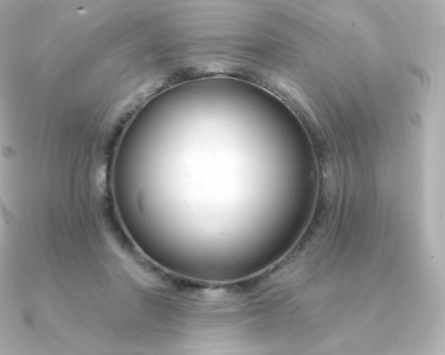 X0000090890406200708101406