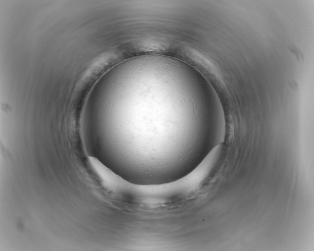 X0000090890407200708101406