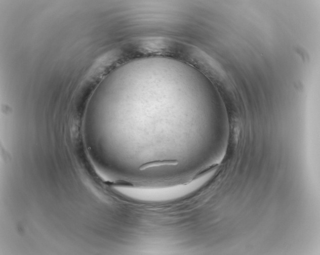 X0000090890408200708101406