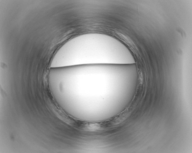 X0000090890409200708101406