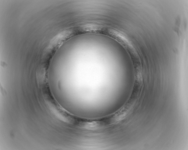 X0000090890411200708101406