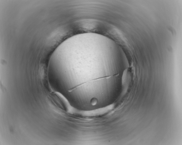 X0000090890412200708101406