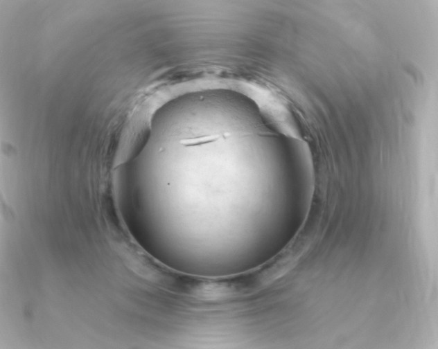 X0000090890413200708101406