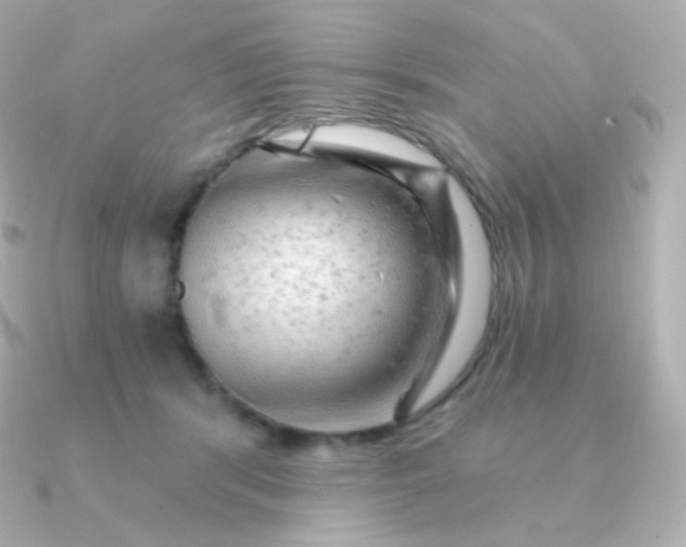 X0000090890416200708101406