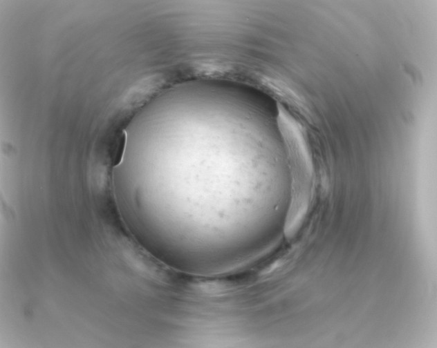 X0000090890417200708101406