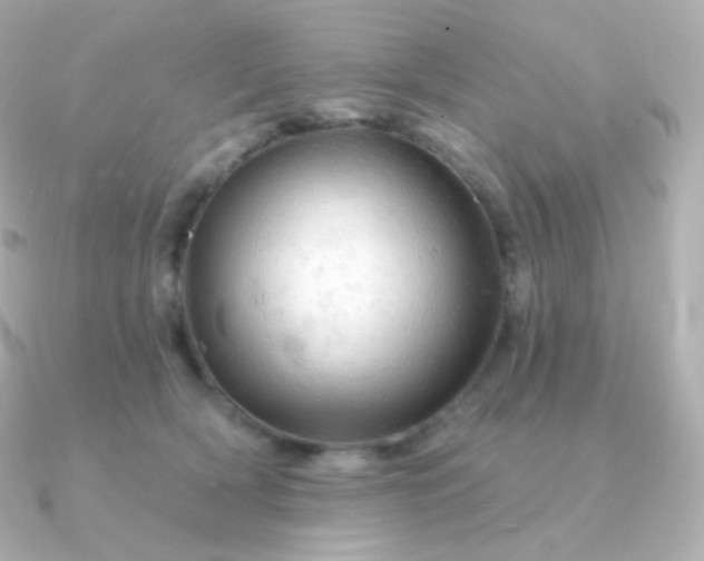 X0000090890418200708101406