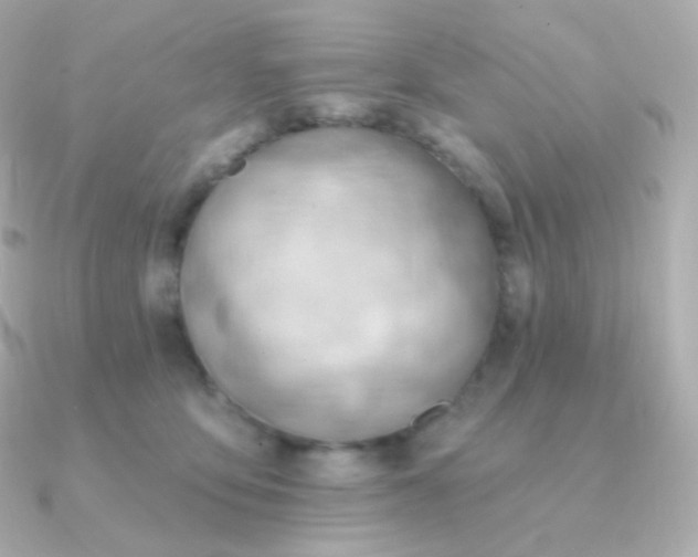 X0000090890419200708101406