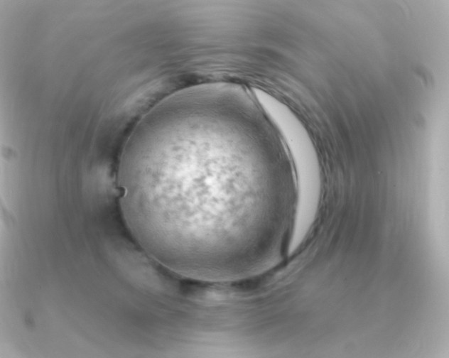 X0000090890420200708101406