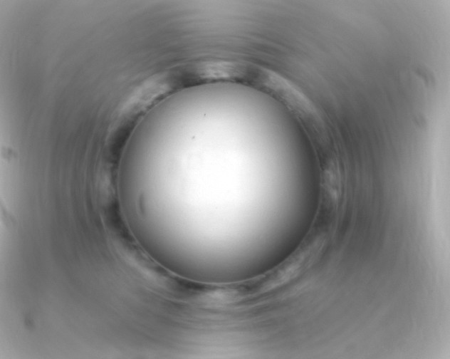 X0000090890422200708101406