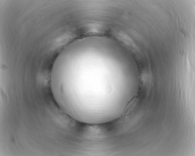 X0000090890423200708101406