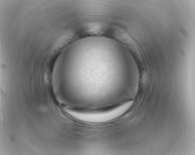 X0000090890424200708101406