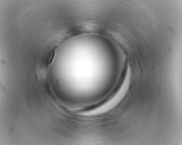 X0000090890425200708101406