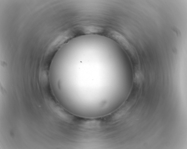 X0000090890426200708101406