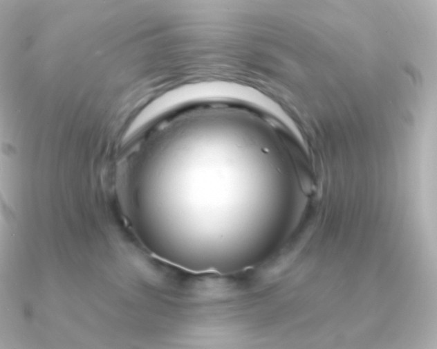 X0000090890428200708101406