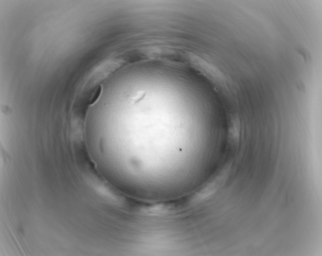 X0000090890430200708101406