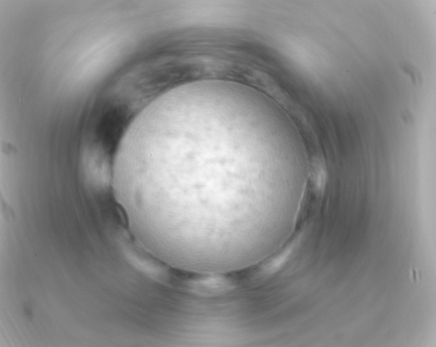 X0000090890431200708101405