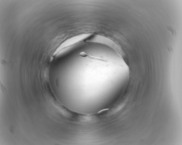 X0000090890432200708101405