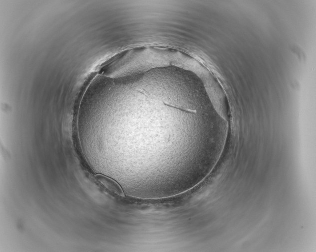 X0000090890434200708101405