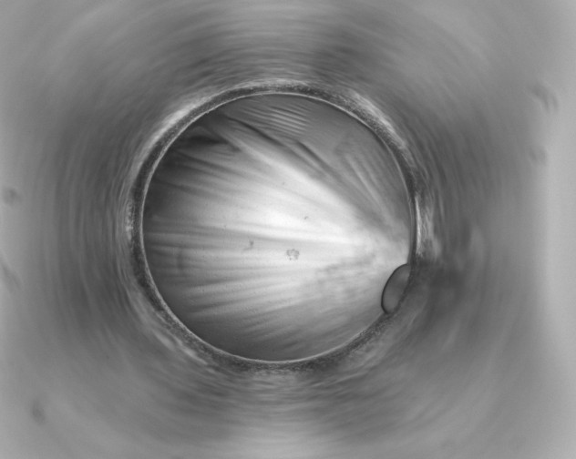 X0000090890435200708101405