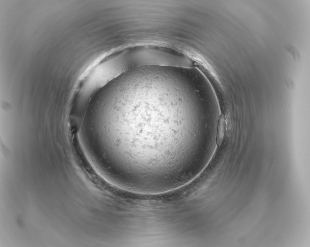 X0000090890436200708101405