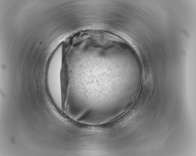 X0000090890437200708101405