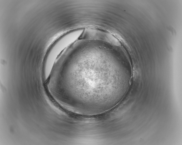 X0000090890438200708101405