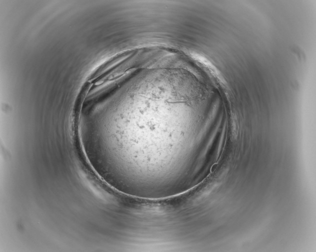 X0000090890439200708101405