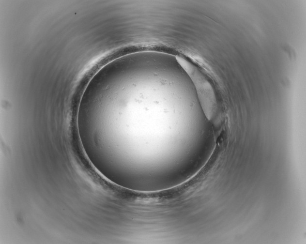 X0000090890440200708101405