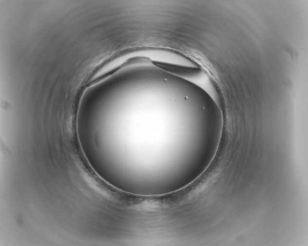 X0000090890441200708101405