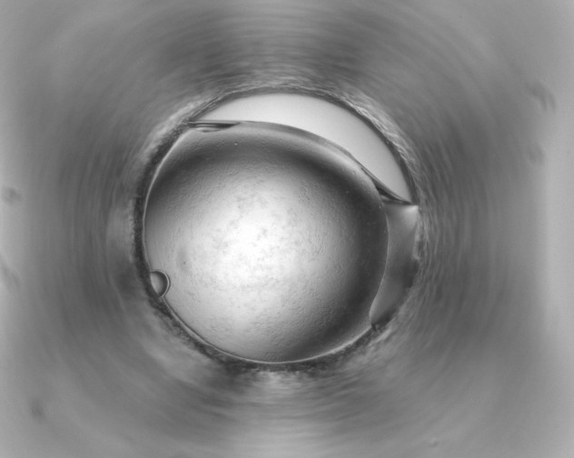 X0000090890442200708101405