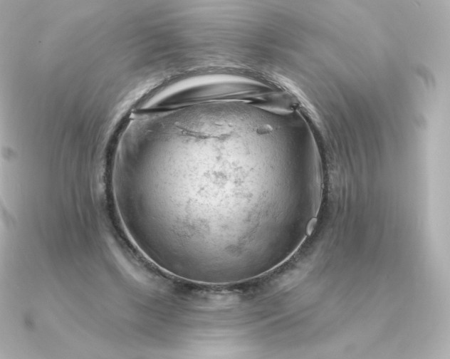 X0000090890443200708101405