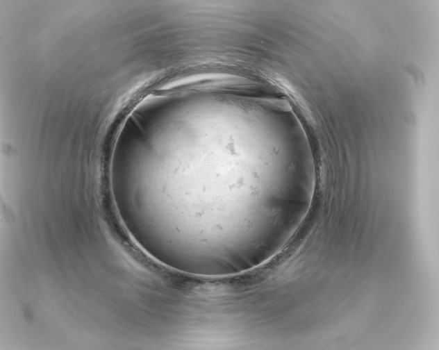 X0000090890444200708101405