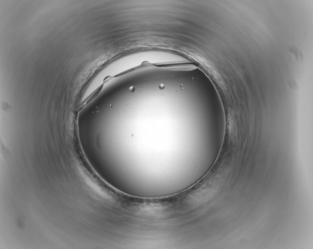 X0000090890445200708101405