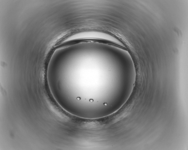 X0000090890446200708101405