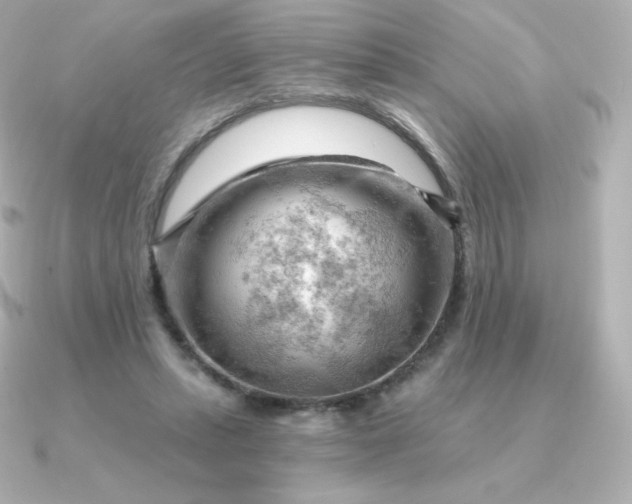 X0000090890447200708101405