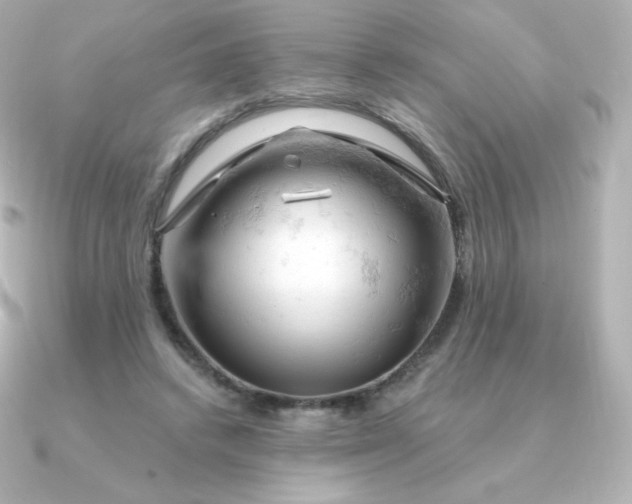 X0000090890448200708101405