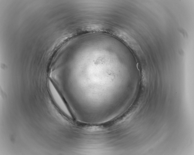 X0000090890449200708101405