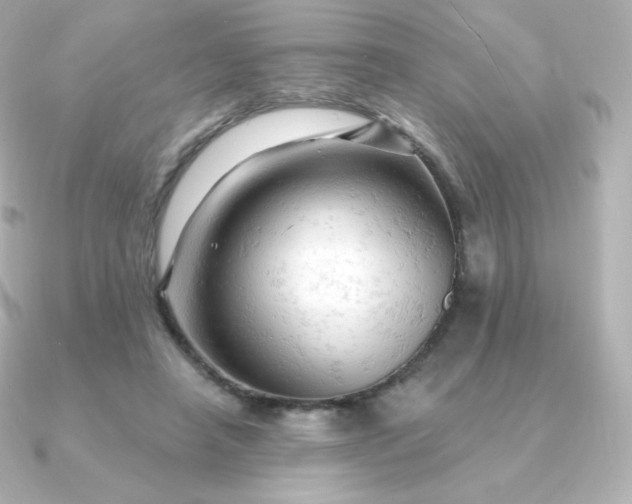 X0000090890450200708101405