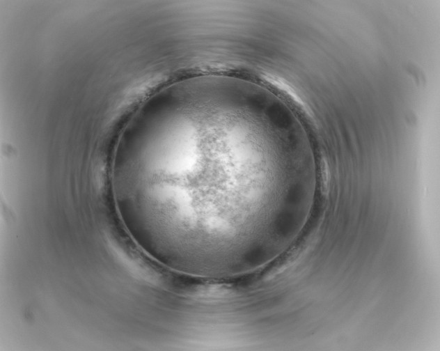 X0000090890451200708101405